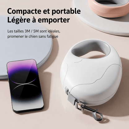Laisse pour Chien | Confort Résistant - Balade.le.chien.com