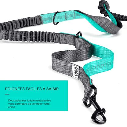 Laisse pour chien mains libres | Ergonomique - Balade.le.chien.com