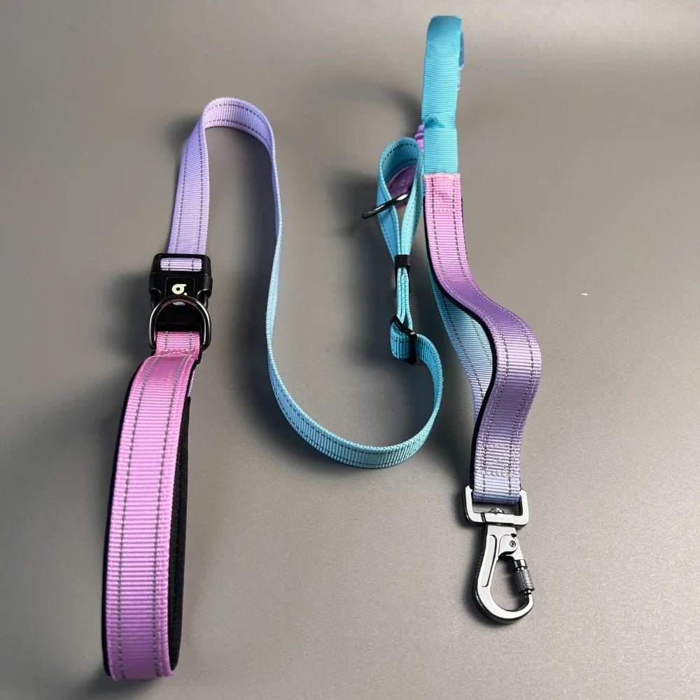 Laisse pour chien mains libres | Sportive avec absorption - Balade.le.chien.com