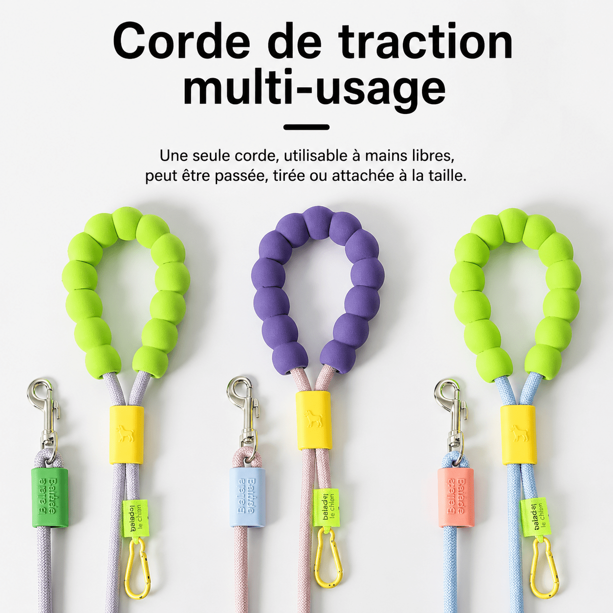Laisse pour Chien poignée en mousse | balade le chien - Balade.le.chien.com