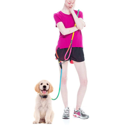 Laisse pour chien | Robuste & Confortable - Balade.le.chien.com