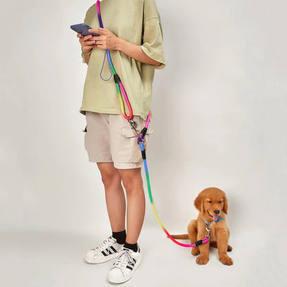 Laisse pour chien | Robuste & Confortable - Balade.le.chien.com