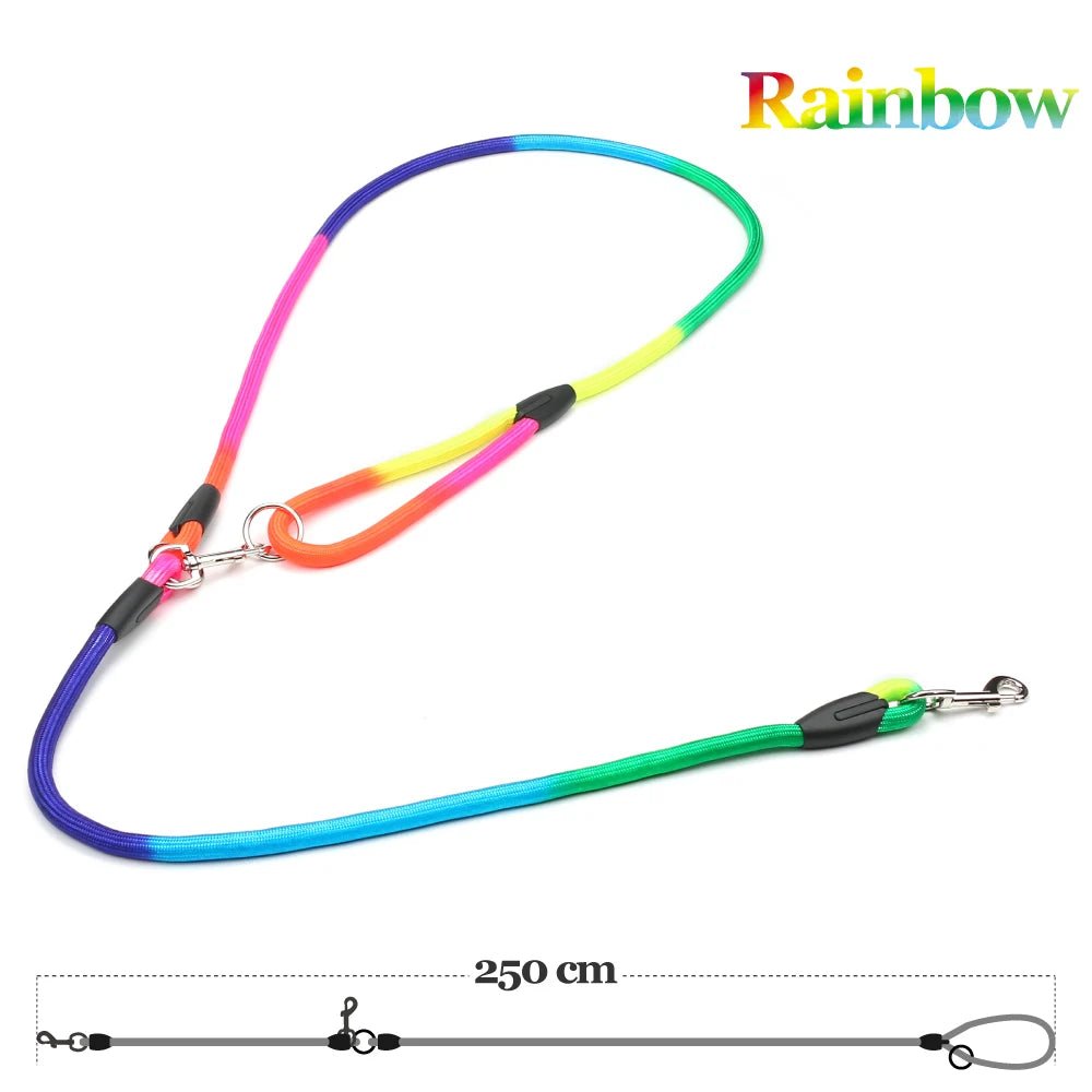 Laisse pour chien | Robuste & Confortable - Balade.le.chien.com