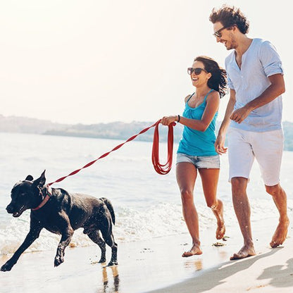 laisse pour chien | Robuste et Confortable - Balade.le.chien.com