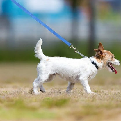 laisse pour chien | Robuste et Confortable - Balade.le.chien.com