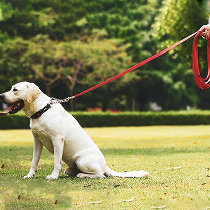 laisse pour chien | Robuste et Confortable - Balade.le.chien.com