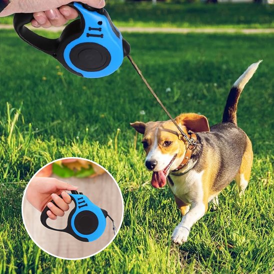 Laisse pour chien