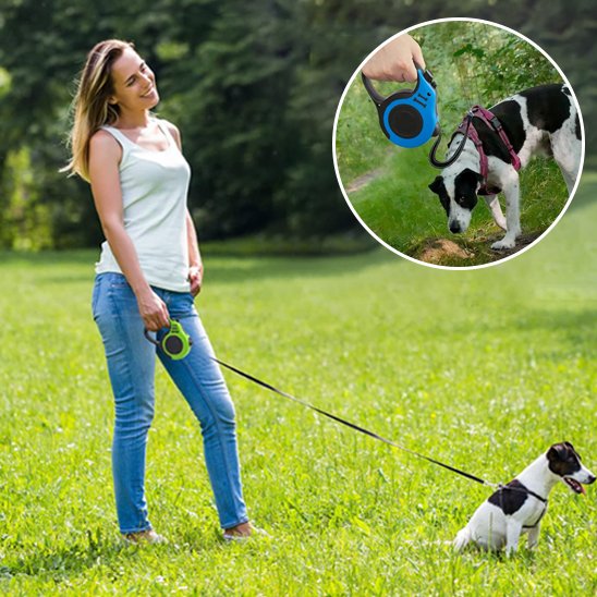 Laisse pour chien