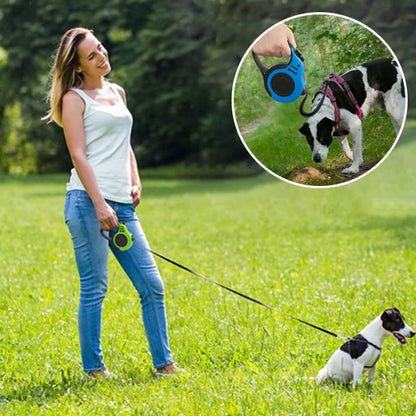 Laisse pour chien