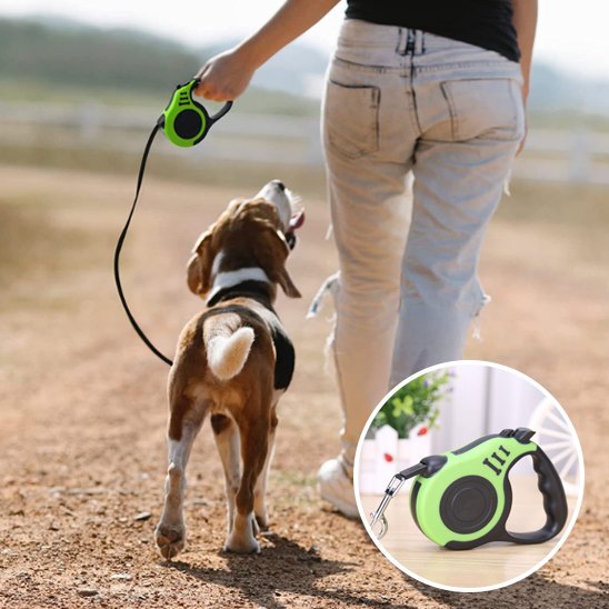 Laisse pour chien