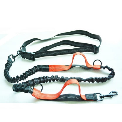 Laisse rétractable pour chien mains libres - Balade.le.chien.com
