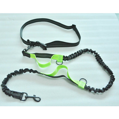 Laisse rétractable pour chien mains libres - Balade.le.chien.com