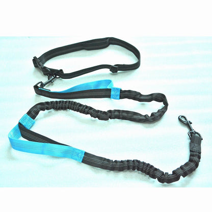 Laisse rétractable pour chien mains libres - Balade.le.chien.com