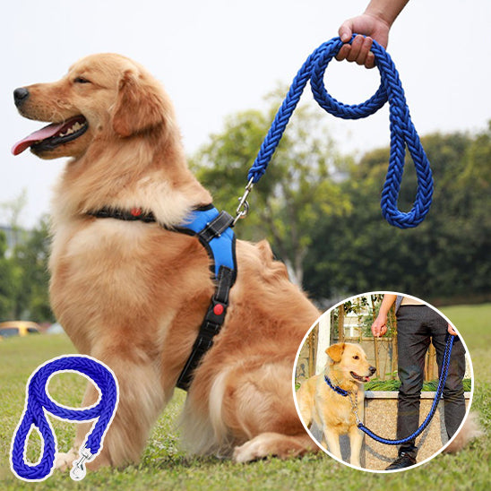 laisse pour chien tressé en nylon