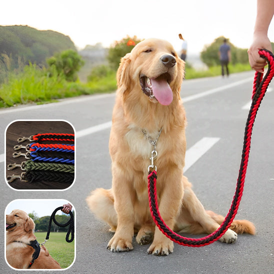 laisse pour chien tressé en nylon