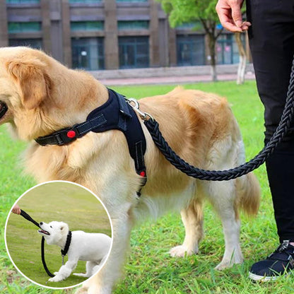laisse pour chien tressé en nylon