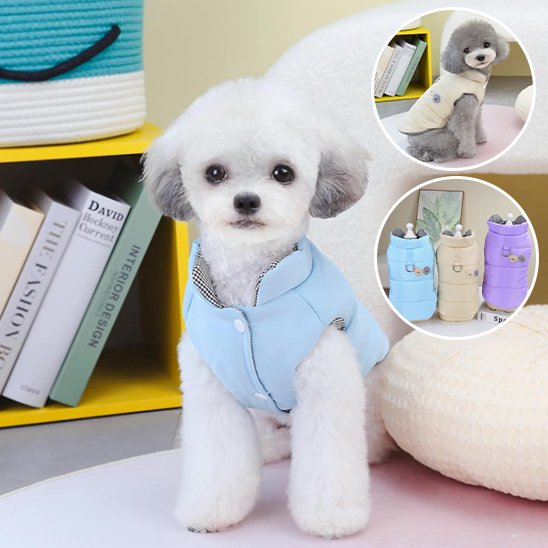 Manteau chien