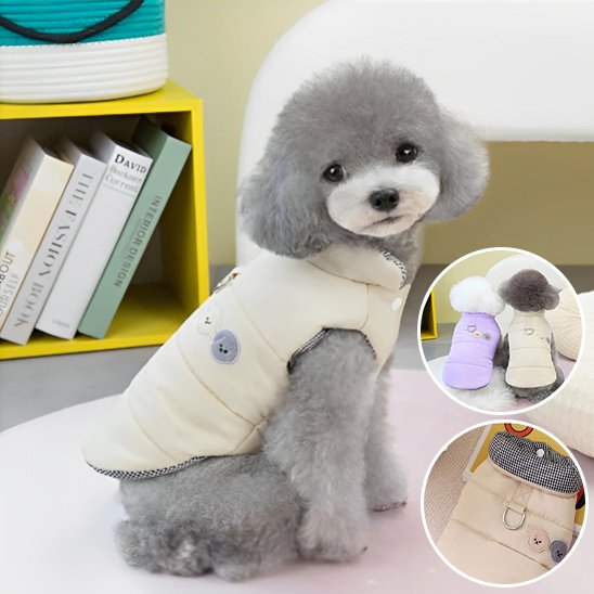 Manteau chien