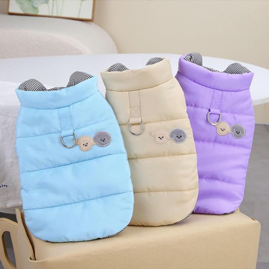 Manteau chien