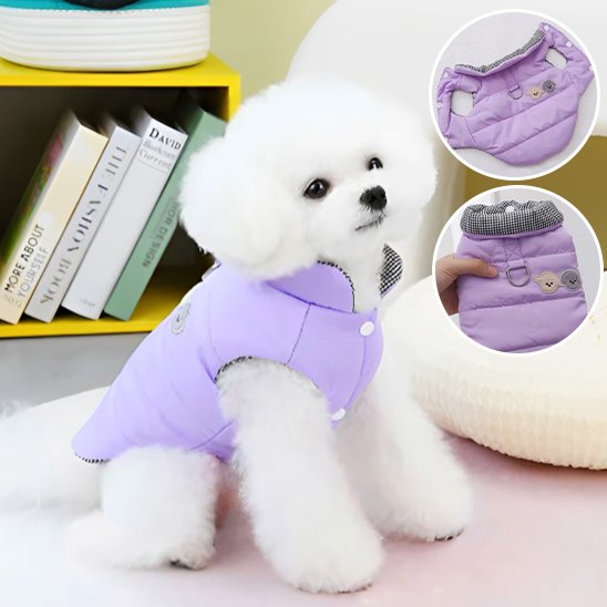 Manteau chien