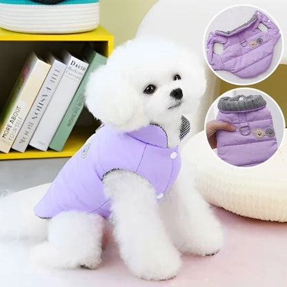 Manteau chien