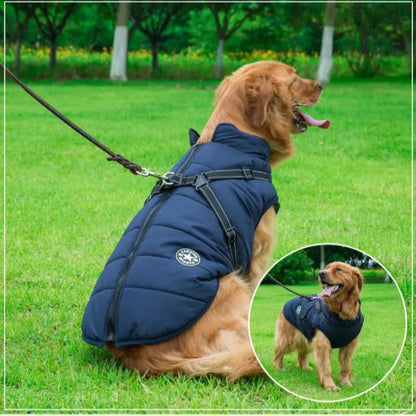 manteau pour chien - Balade.le.chien.com