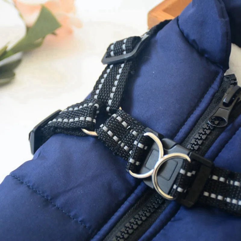manteau pour chien - Balade.le.chien.com