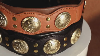 Collier pour chien en cuir | Robuste et élégant