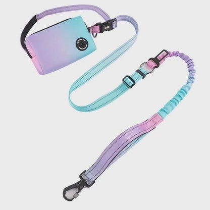 Laisse pour chien mains libres | Sportive avec absorption