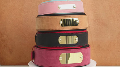 Collier en cuir pour chien | Personnalisé gravé