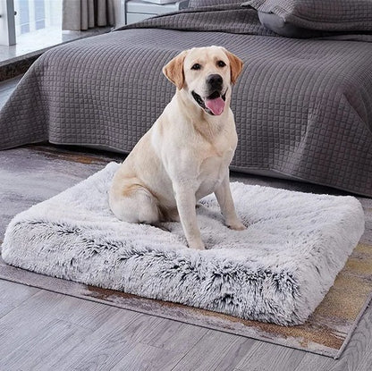 Tapis pour chien | Ultra-Moelleux
