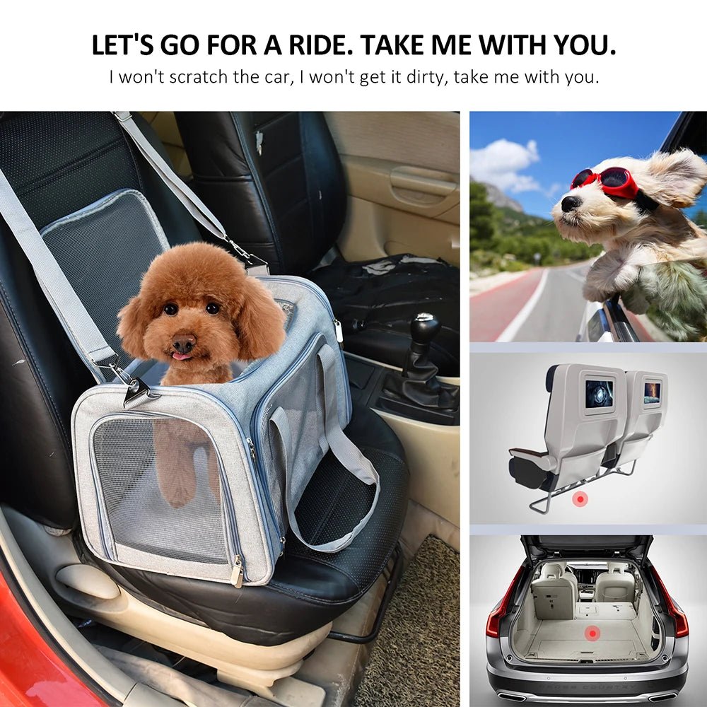 Sac de Transport pour Chat et Chien - Balade.le.chien.com