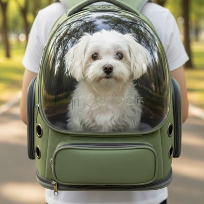 Sac transport Chien