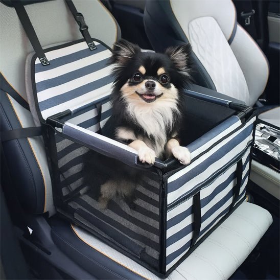 Siege auto pour chien | Sécurité Confort - Balade.le.chien.com