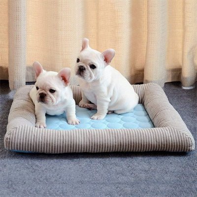 Tapis rafraichissant Chien | ThermoRegul - Balade.le.chien.com